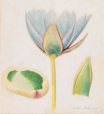 Joseph Stella (Italian/American