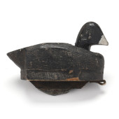JOSHUA GOODRICH (NC), COOT<br>