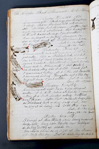 JOURNAL OF THE BARK MERMAID OF