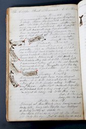 JOURNAL OF THE BARK MERMAID OF
