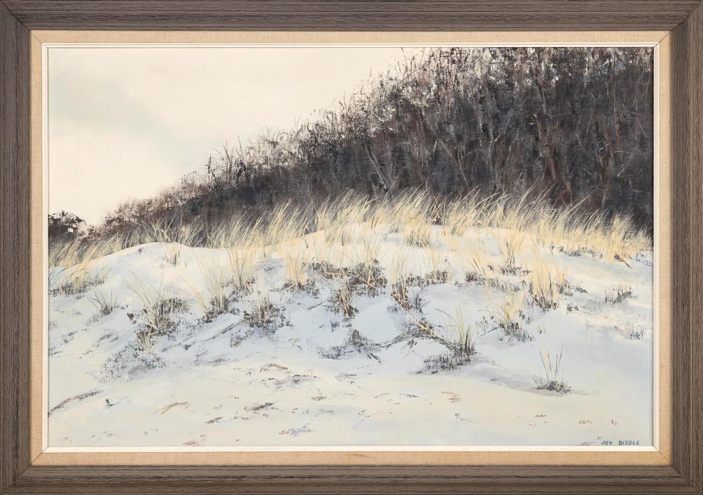 JOY BIDDLE (MASSACHUSETTS,