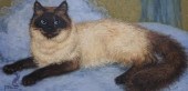 JOYCE M. PETERSON (AMERICAN 20