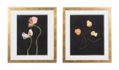 JOYCE TENNESON, 2 FLOWER PRINT