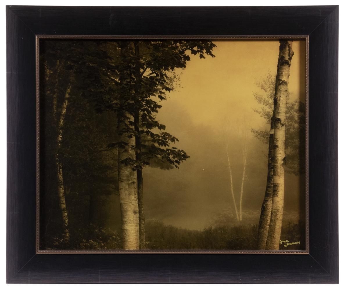 JOYCE TENNESON (ME/NY/MA, 1945 -