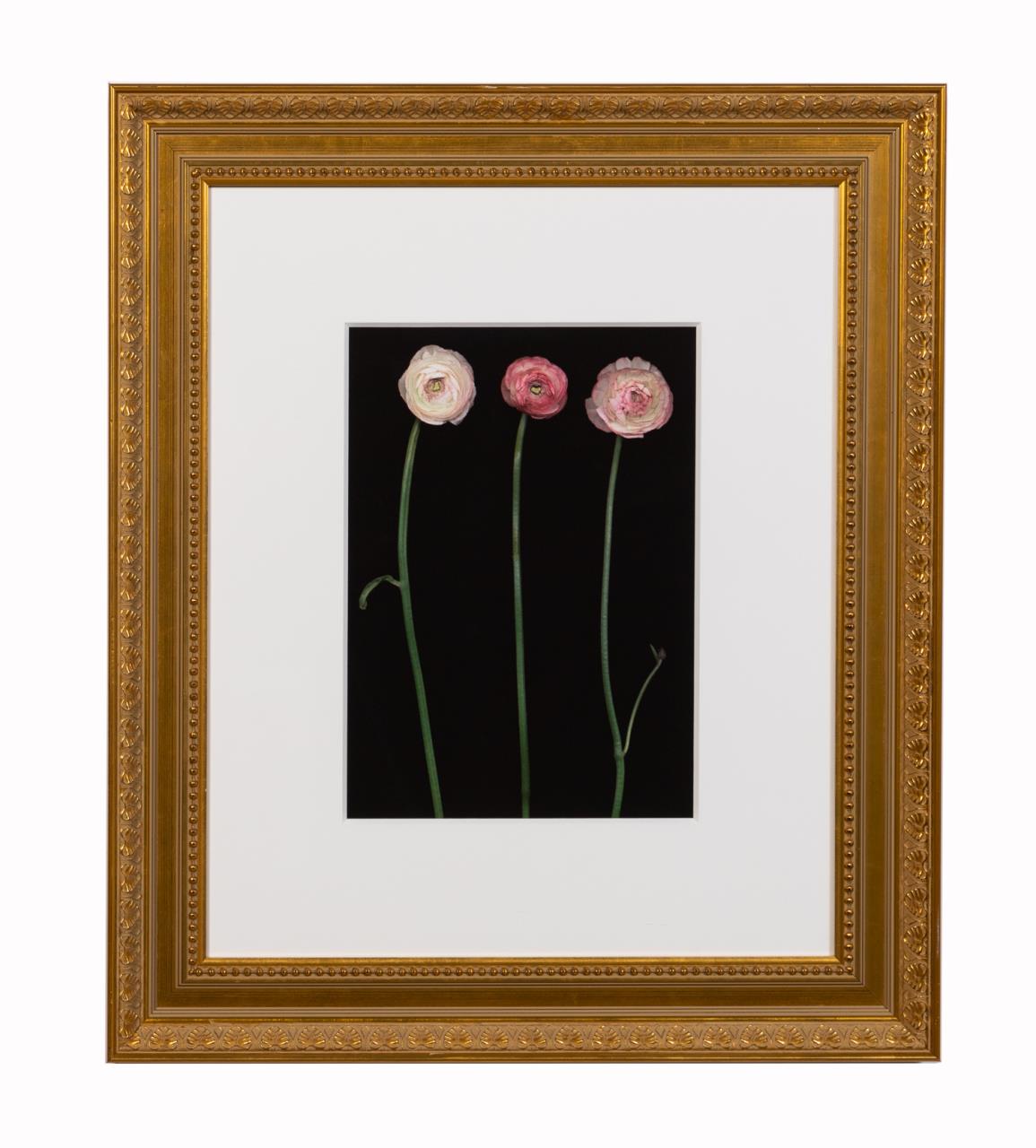 JOYCE TENNESON "RANUNCULUS 1"
