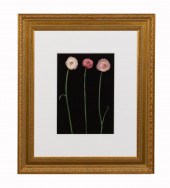 JOYCE TENNESON "RANUNCULUS 1"