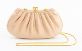 JUDITH LEIBER CHAMPAGNE SILK C