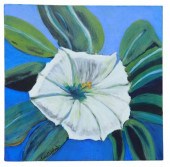 JUDY COPELAND (B.1943) 'MOON F