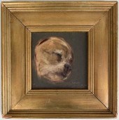 JUDY FRIDAY, O/B PUPPY PORTRAI