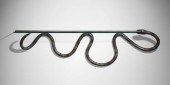 Judy Kensley McKie. Snake shel