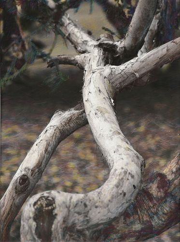 JULIE BROOK ALEXANDER