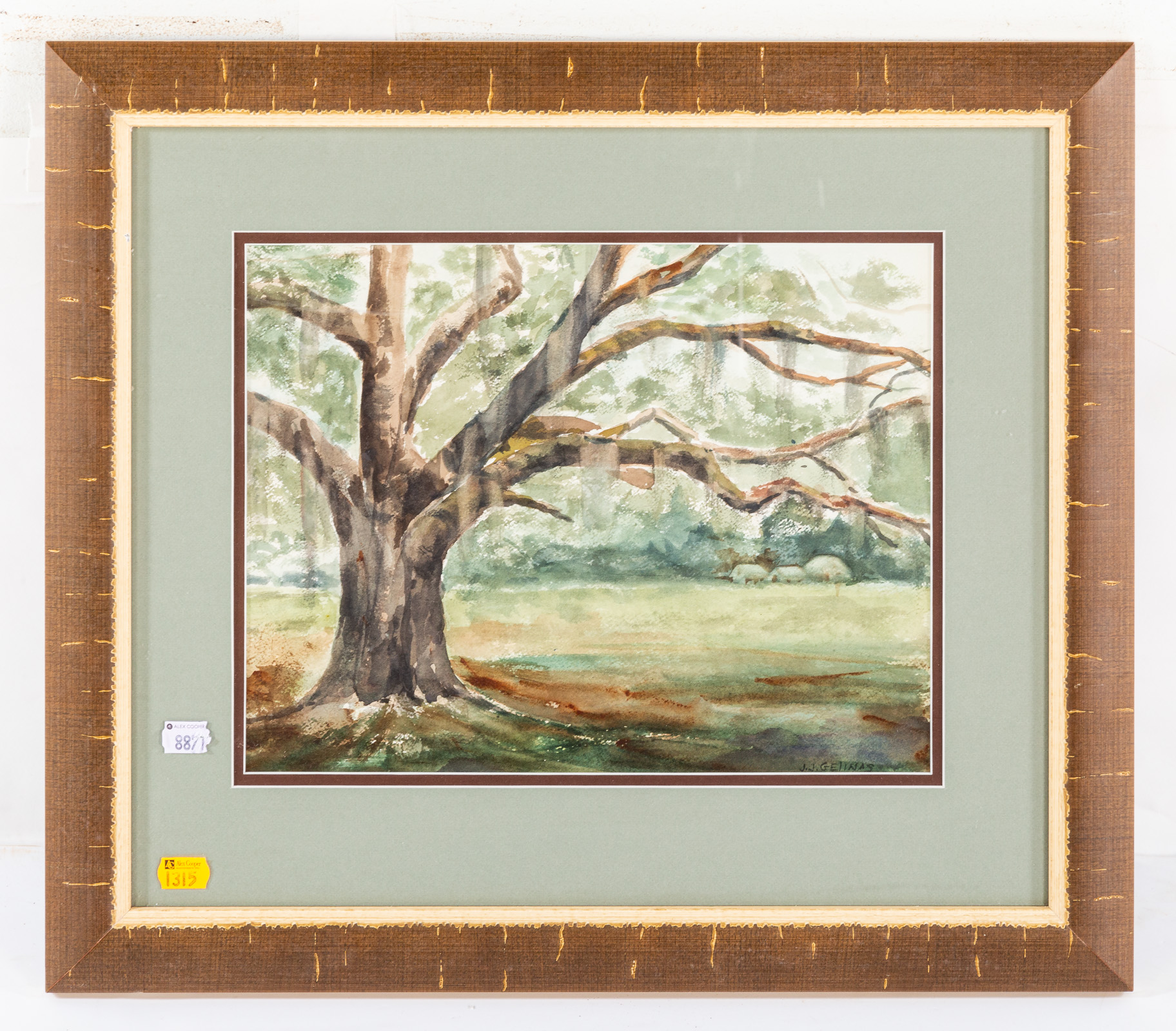 JULIET J. GELINAS. "LIVE OAKS AND