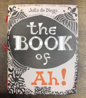JULIO DE DIEGO (UNITED STATES/