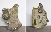 JURASSIC AMMONITE AND ORTHOCER