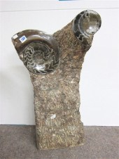 JURASSIC AMMONITE FOSSILS on t
