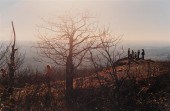 JUSTINE KURLAND (b. 1969): MEE