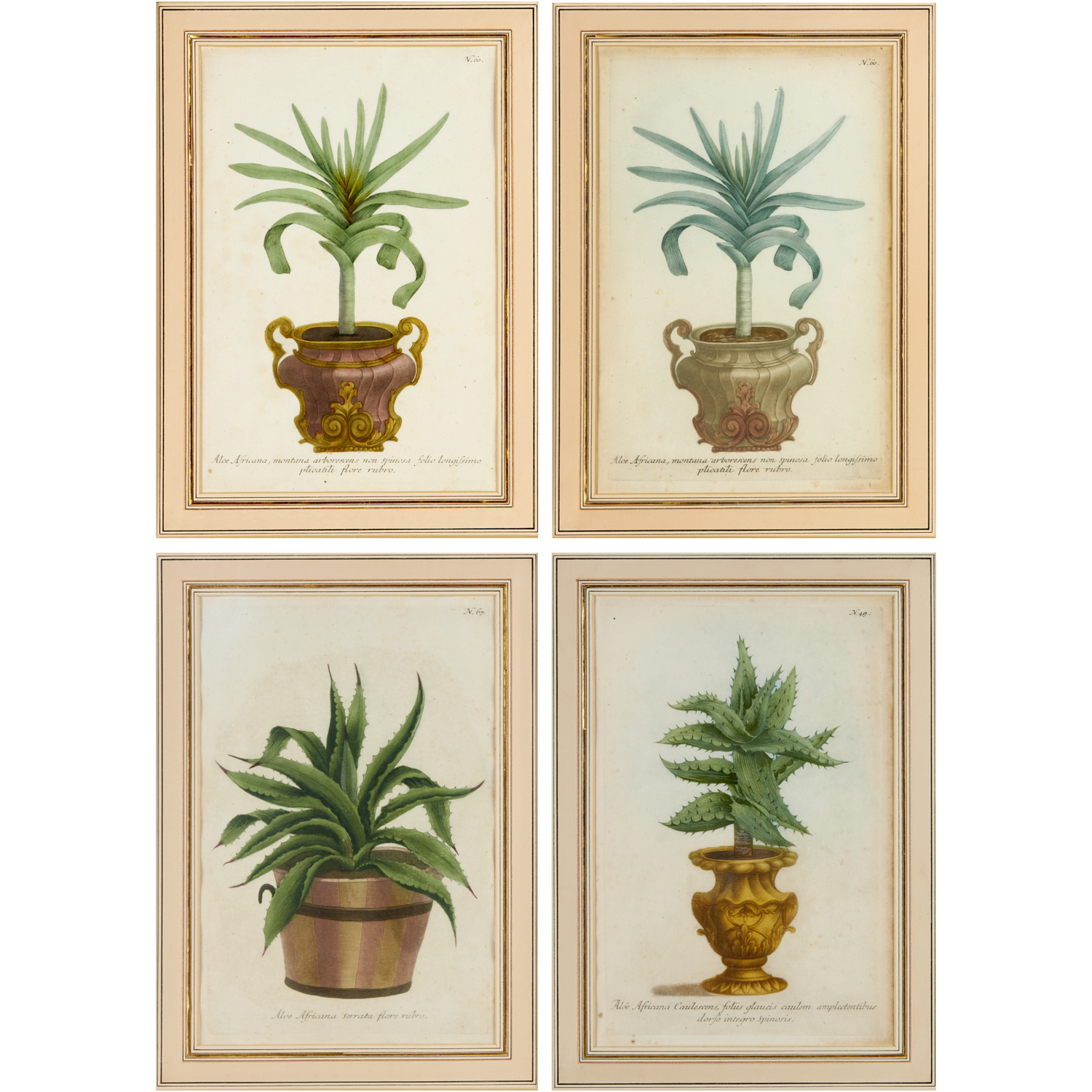 J.W. WEINMANN, (4) BOTANICAL