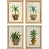 J.W. WEINMANN, (4) BOTANICAL M