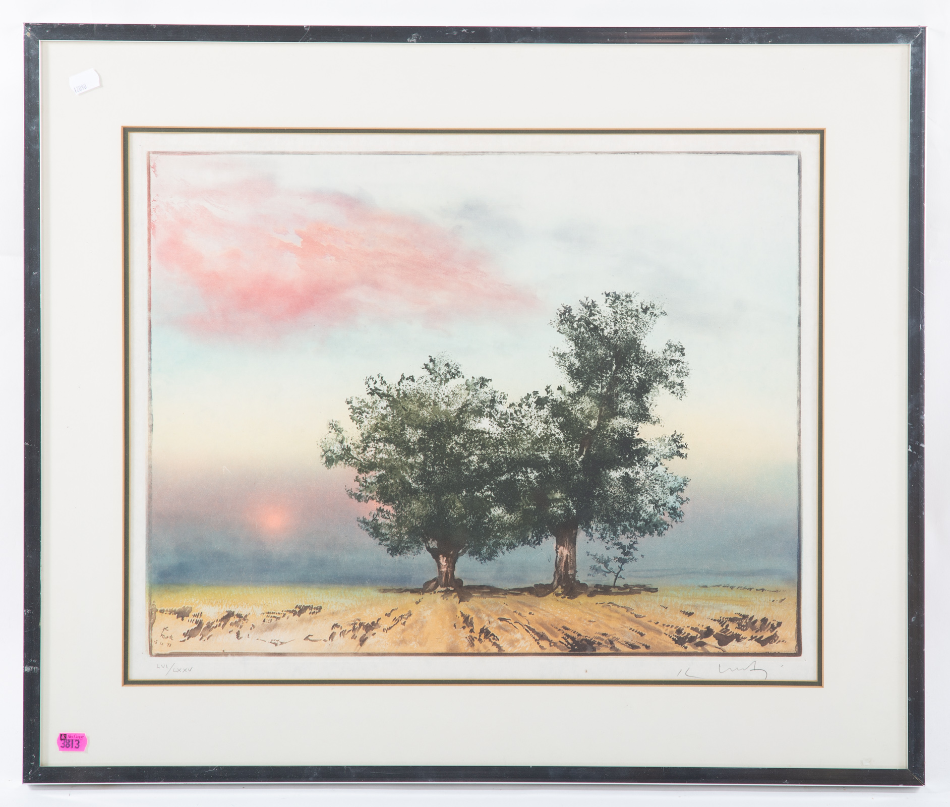 KAIKO MOTI. LANDSCAPE, COLOR