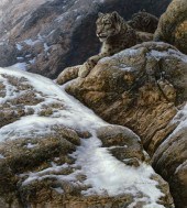 KALON BAUGHAN (1966-), PASSAGE