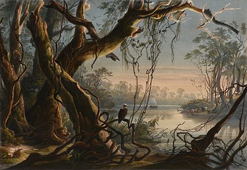 KARL BODMER (SWISS-FRENCH