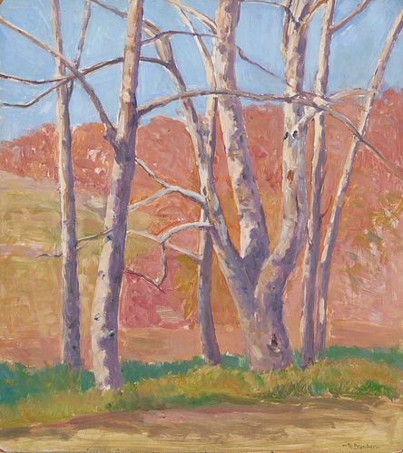 KARL BRANDNER O/B, BIRCH