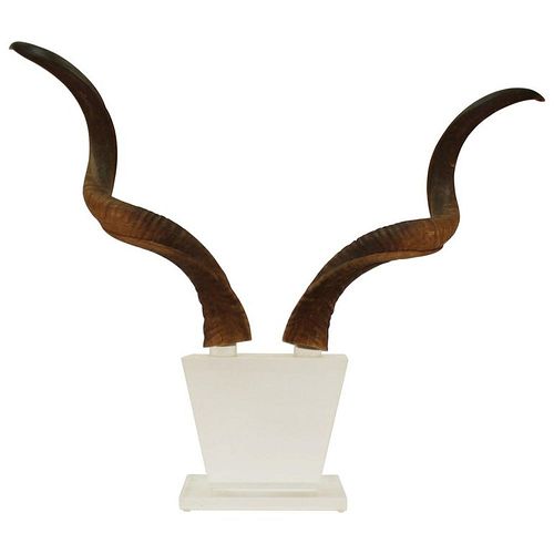 KARL SPRINGER ATTR. AFRICAN KUDU