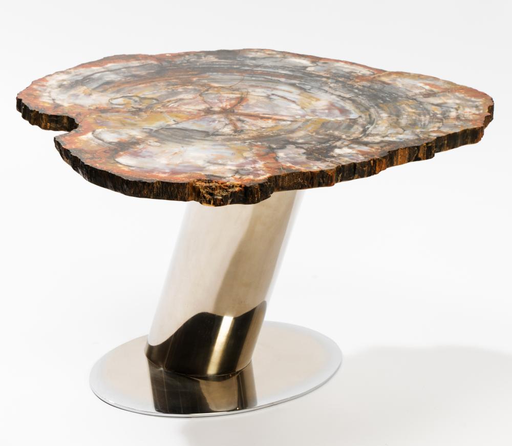 KARL SPRINGER: RARE PETRIFIED