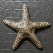 KARL SPRINGER: STARFISHKarl Sp