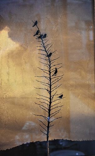 KATE BREAKEY (B. 1957), TONED