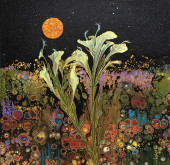 KATE MCCAVITT &#039;NIGHT&#039