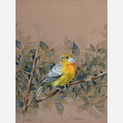 KATE OSBORNE "RAINBOW BUNTING"