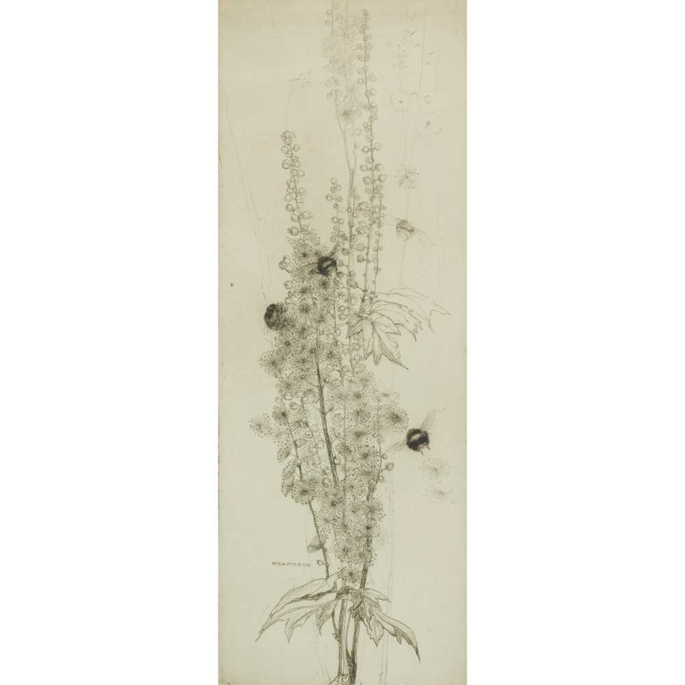 § KATHARINE CAMERON R.S.W., R.E.