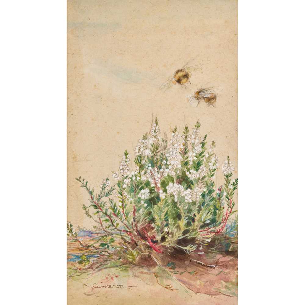 § KATHERINE CAMERON (1874-1965)