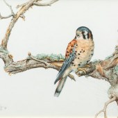 Kathy Goff
(American, 20th Cen