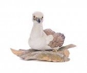 KAXMAR 398 BABY GOLDEN EAGLE F