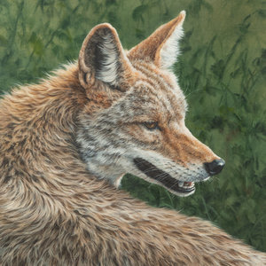 Kay Williams (American, 20th