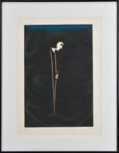 Kazuhisa Honda color mezzotint