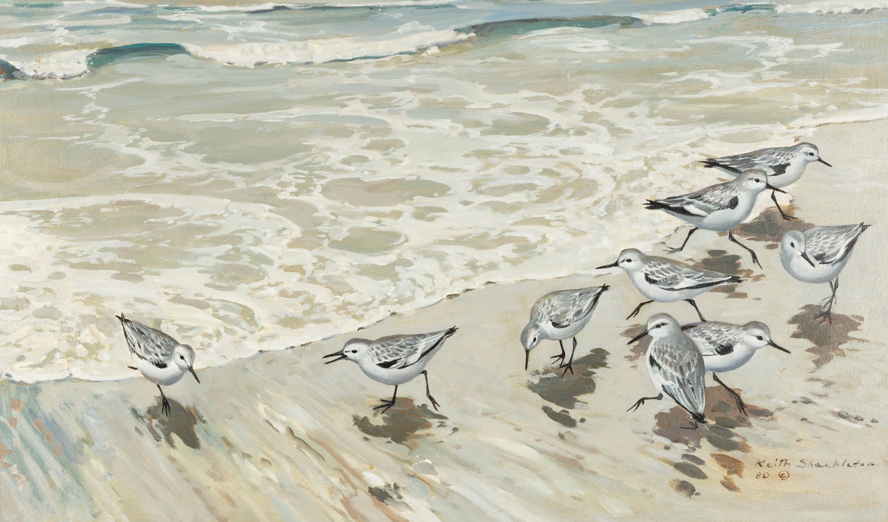 KEITH SHACKLETON (BRITISH,