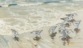 KEITH SHACKLETON (BRITISH, 192