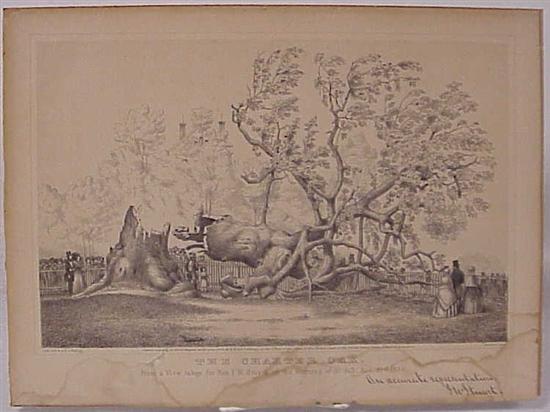 Kellogg lithograph of The Charter