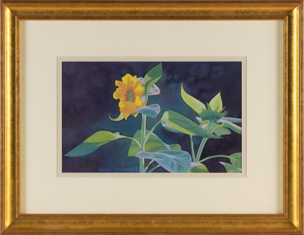 KELY KNOWLES (MASSACHUSETTS,