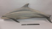 KEN BECKENHAUPT DOLPHIN PLAQUE