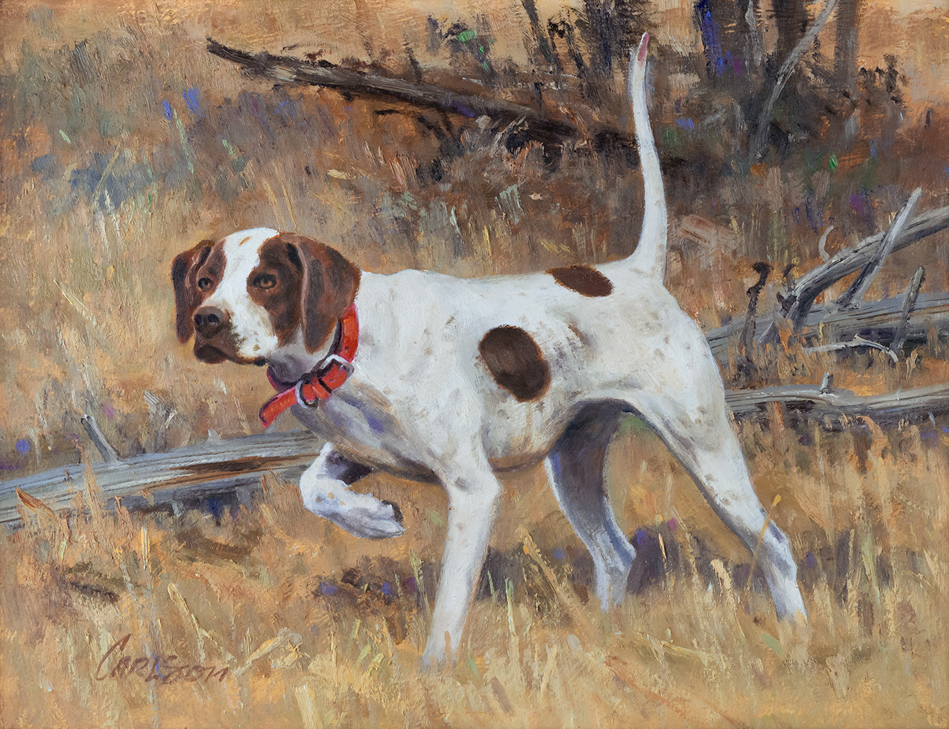 KEN CARLSON (1937- ), POINTER