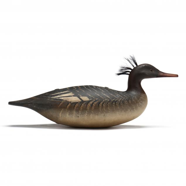 KEN KIRBY (NJ), HEN MERGANSER