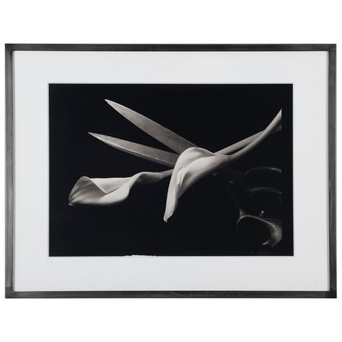 KENRO IZU (B. 1949): STILL LIFE