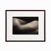 KENRO IZU STILL LIFE #407, PLA