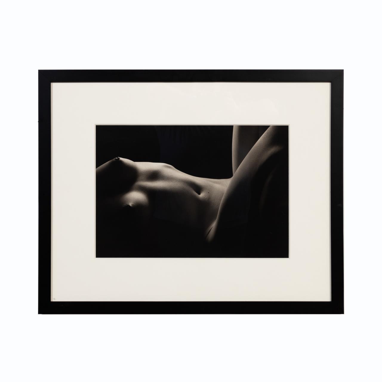KENRO IZU STILL LIFE #746, PLATINUM