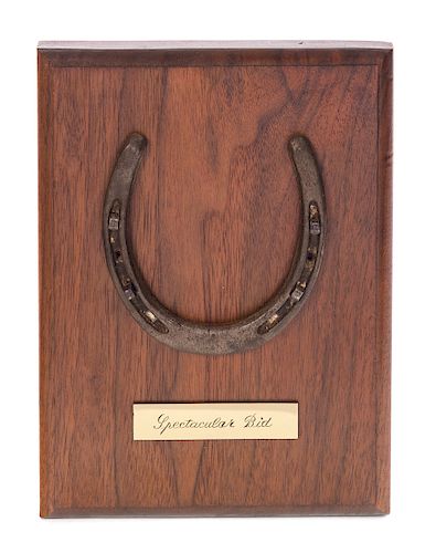 KENTUCKY DERBY WINNER SPECTACULAR