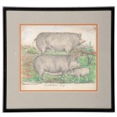 Kentucky Folk Art Drawing of P